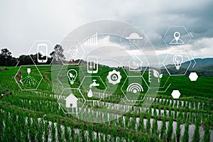 Agriculture technology concept man Agronomist Using a Tablet Internet of things report