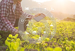 Agriculture technology farmer man using tablet computer .