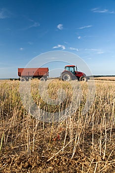 Agriculture - tractor