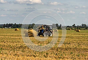 Agriculture and tractor collects straw bales on the farm plant