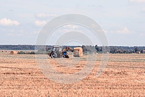 Agriculture and tractor collects straw bales on the farm plant