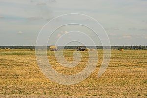 Agriculture and tractor collects straw bales on the farm plant