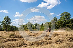 Agriculture tractor harvesting pangola grass using mechanical devices, animal feed