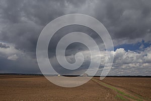 Agriculture.The tractor prepares the field for sowing wheat in