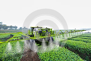 Agriculture tractor spraying fertilizer on green tea fields, Technology smart farm concept photo