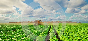 Agriculture tractor spraying fertilizer on soybean fields, Technology smart farm concept, 3d render