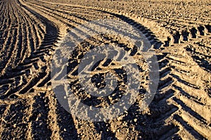Agriculture tractor traces on farm field soil