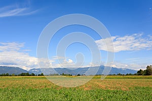 Agriculture, uncultivated field