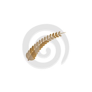 Agriculture Wheat Icon, logo Ideas. Inspiration logo design. Template Vector Illustration. Isolated On White Background