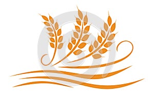 Agriculture wheat illustration design - vector