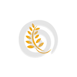 Agriculture wheat leaf icon logo design vector template