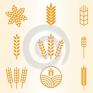 Agriculture wheat Template vector icon design