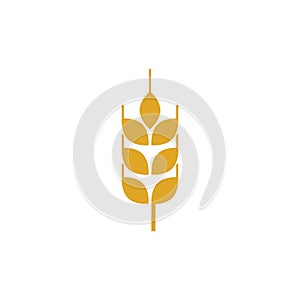 Agriculture wheat vector