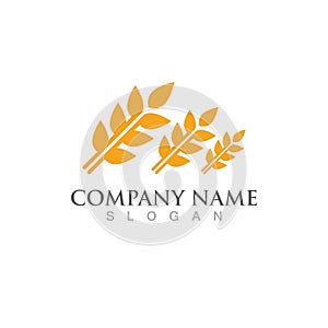 Agriculture wheat vector