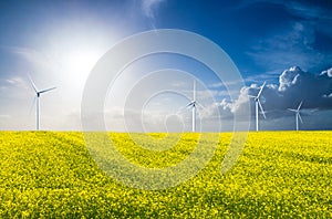 Agriculture and Wind energy