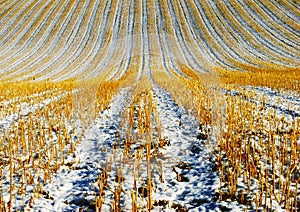 Agriculture Winter