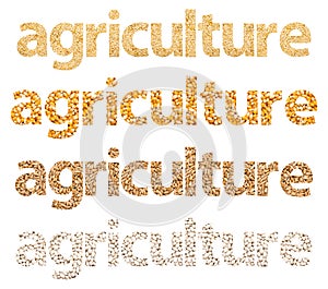 Agriculture Words Abstract Made Of Grains