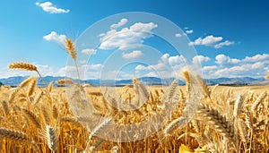 Agriculture yellow growth in nature meadow, a vibrant landscape generated by AI