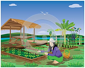 agriculturist harvest vegetable in garden vector design.