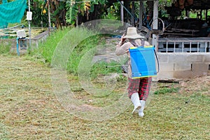Agriculturist spraying pesticides fertilizers.