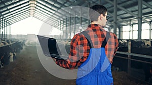 Agriculturist is walking along the byre with a laptop