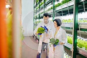 Agriculturists feeling joyful while working in greenhouse