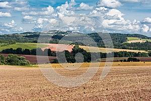 Agriculutral fields in late summer in sunny day