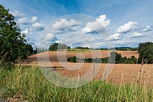 Agriculutral fields in late summer in sunny day