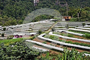 Agricuture village in valley with small green house for agricultual production