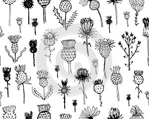 Agrimony plants seamless pattern, sketch for your
