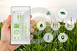 Agritech concept smartphone app with graphic display agricultural icons photo