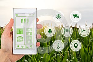 Agritech concept smartphone app with graphic display agricultural icons