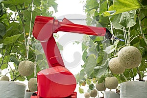 Agritech technology concept,