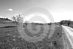 Agritourism in the hills of Tuscany