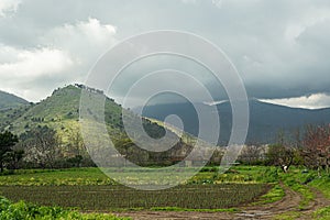 Agriturismo in un piccolo paese del sud Italia, in montagna. Piccolo orto con erbe aromatiche e alberi da frutto photo