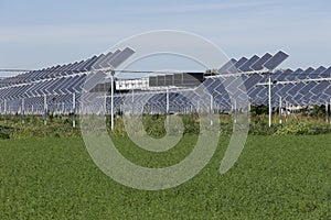 Agrivoltaic