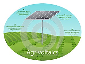 Agrivoltaics Infographic