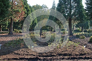 Agroforestry, Garden Center Kostelec photo