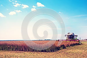 Agroindustrial industrial landscape with combine harvesters picking up hay on a field on a sunny day against a background of