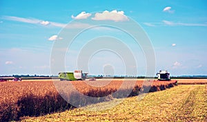 Agroindustrial industrial landscape with combine harvesters picking up hay on a field on a sunny day against a background of