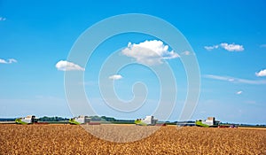 Agroindustrial industrial landscape with combine harvesters picking up hay on a field on a sunny day against a background of