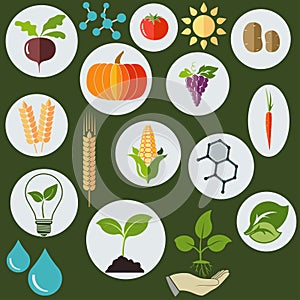 Agronomic icons flat style - vector