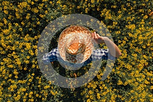 Agronomist in blooming oilseed rape field, aerial view