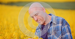 Agronomist Checking Rapeseed Crops at Farm. Farmer Examining Crops checking Plants Quality - Agriculture Concept.