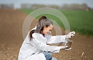 Agronomist checking soil quality