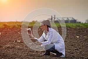 Agronomist checking soil quality