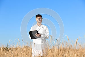 Agronomist with clipboard in field. Cereal grain crop