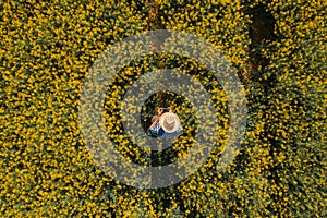 Agronomist with drone remote controller in blooming rapeseed field, aerial view