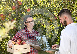 Agronomist and farmer in apple orchard
