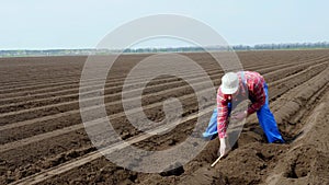 Agronomist, farmer checks quality of cultivator potatoe planting, measuring distance between potato tubers with tape